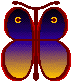 copyrighted JTB butterfly image button